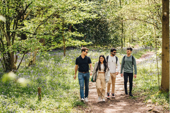 Photograph of a group of people walking along a woodland path