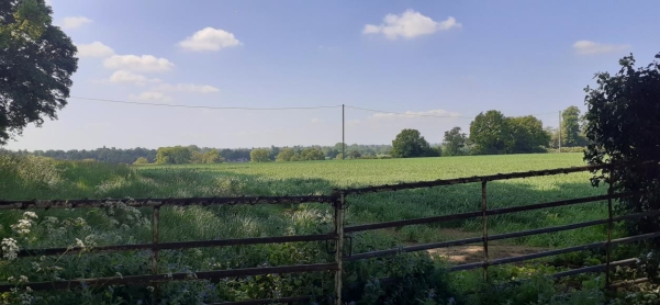 Views from Westhill Road towards Leicester Lane and Kenilworth Road