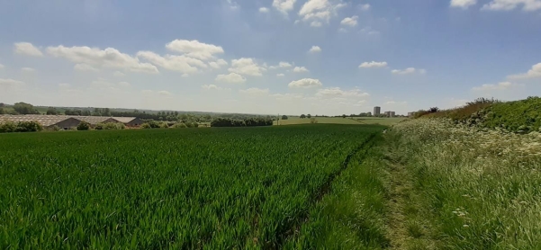 Views from Offchurch Lane, Public Footpaths towards Offchurch the River Leam and Newbold Comyn