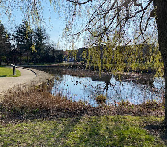 Precedent image showing ponds within a residential development