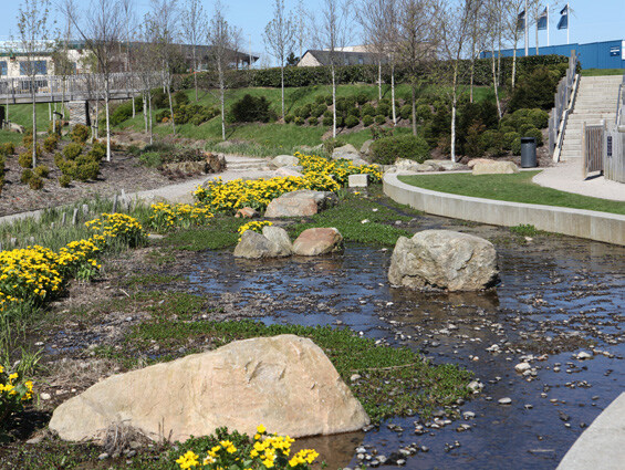 Precedent image showing (shallow) ponds integrated within public open space with plants and landscape features