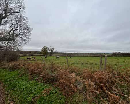 A photo of a view of agricultural fields from King’s Hill Lane (east view)