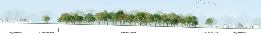 Landscape cross-section showing neighbourhoods on each side, two 50m buffer zones, and Wainbody Wood with a row of trees in the middle.