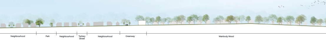 Landscape cross-section showing a neighbourhood, park, tertiary street, greenway, and Wainbody Wood.