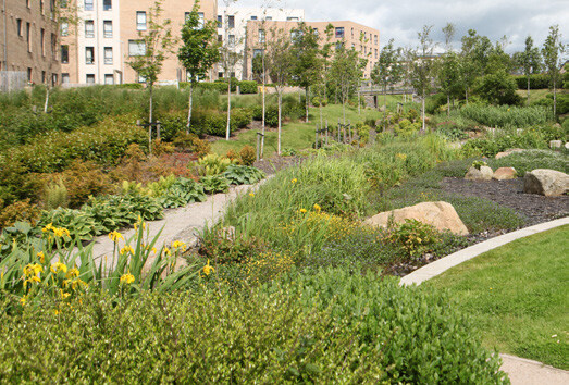 A landscaped urban park with a variety of green plants, trees, and flowering shrubs, bordered by a curved concrete pathway.