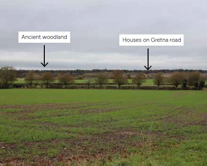 A view from the site towards ancient woodland and houses on Gretna Road