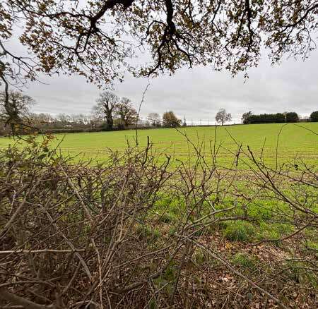 A photo of a view onto the site from Green Lane