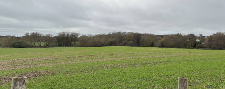 View into agricultural fields from King’s Hill Lane