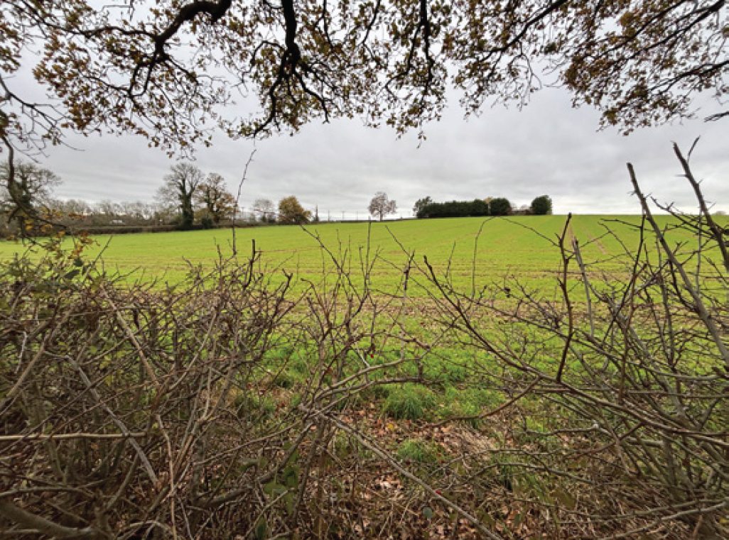 A photo showing undulating topography from King’s Hill Lane
