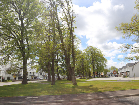 Precedent image showing how mature landscaping features add natural value and natural capital